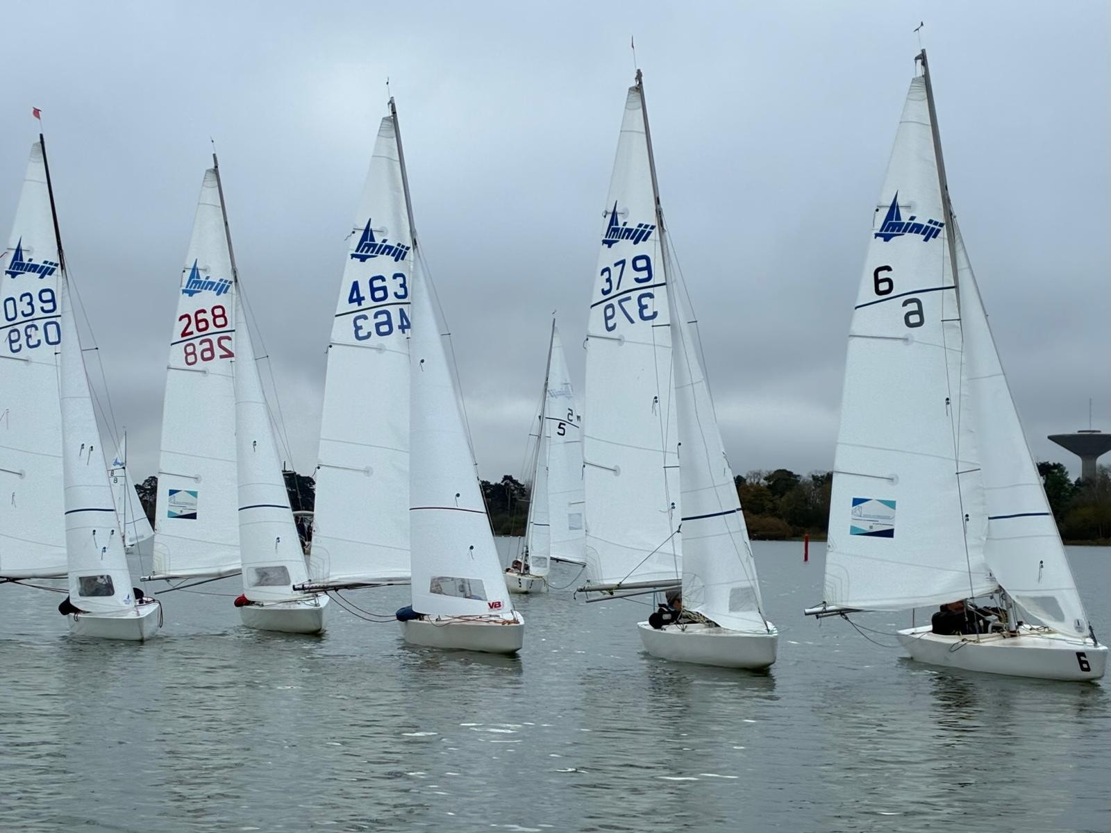Quillards en voile légère